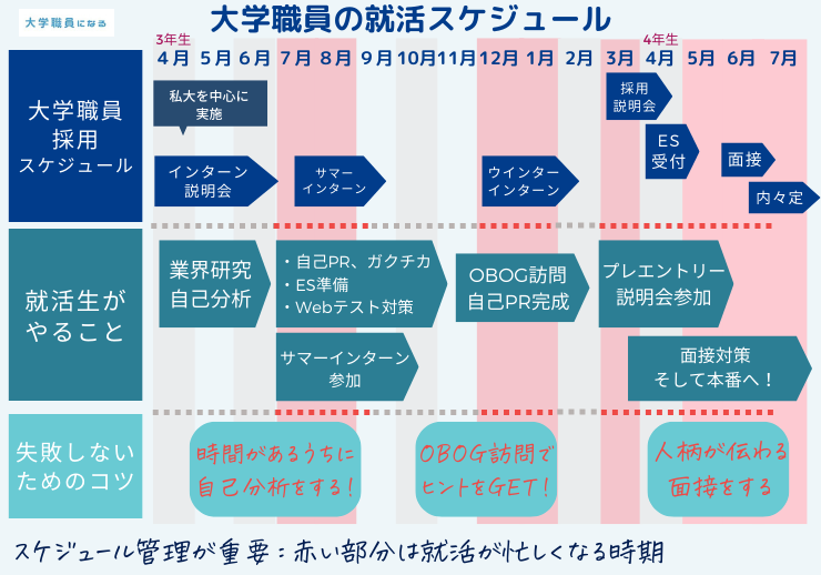 大学職員の2024年就活スケジュール表